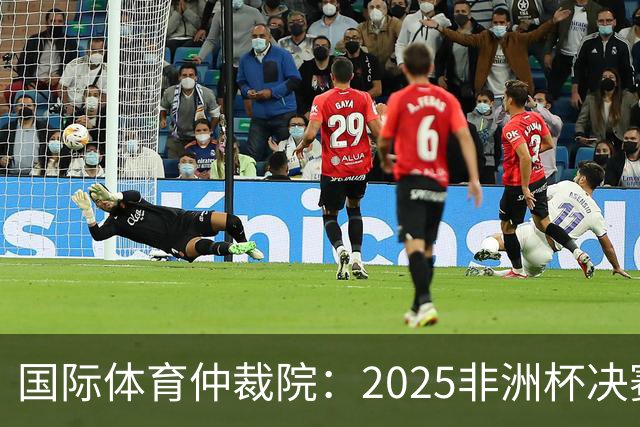国际体育仲裁院：2025非洲杯决赛仲裁结果预计11月底出炉